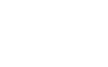 Palestra Logo